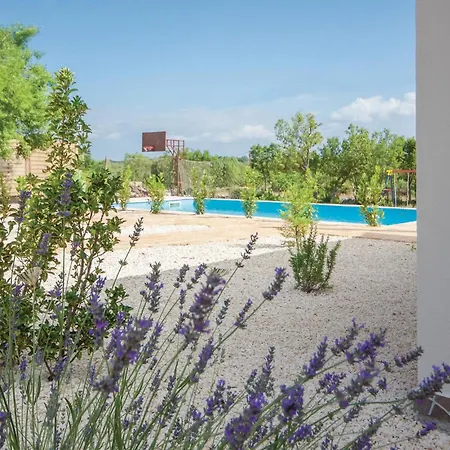 In With Outdoor Swimming Pool Holiday home *