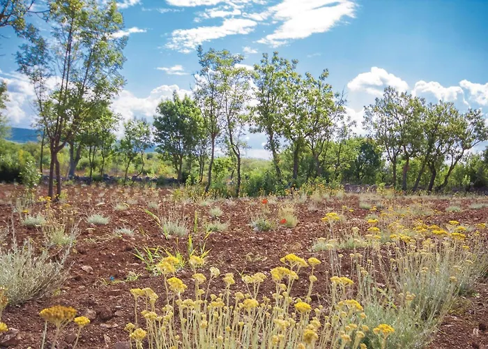 Two-bedroom In Vakantiehuis Radonic